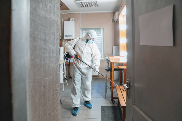 Mold Remediation for Vacation Homes in Barrett, TX