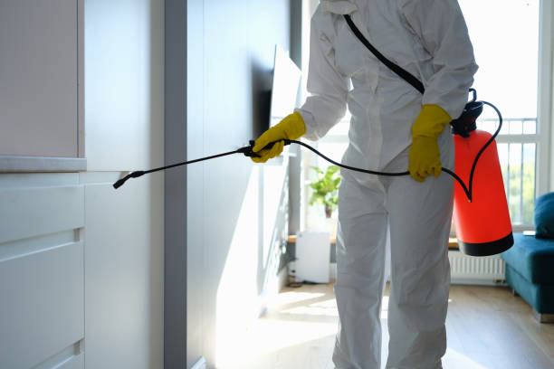 Best Emergency Mold Remediation  in Barrett, TX